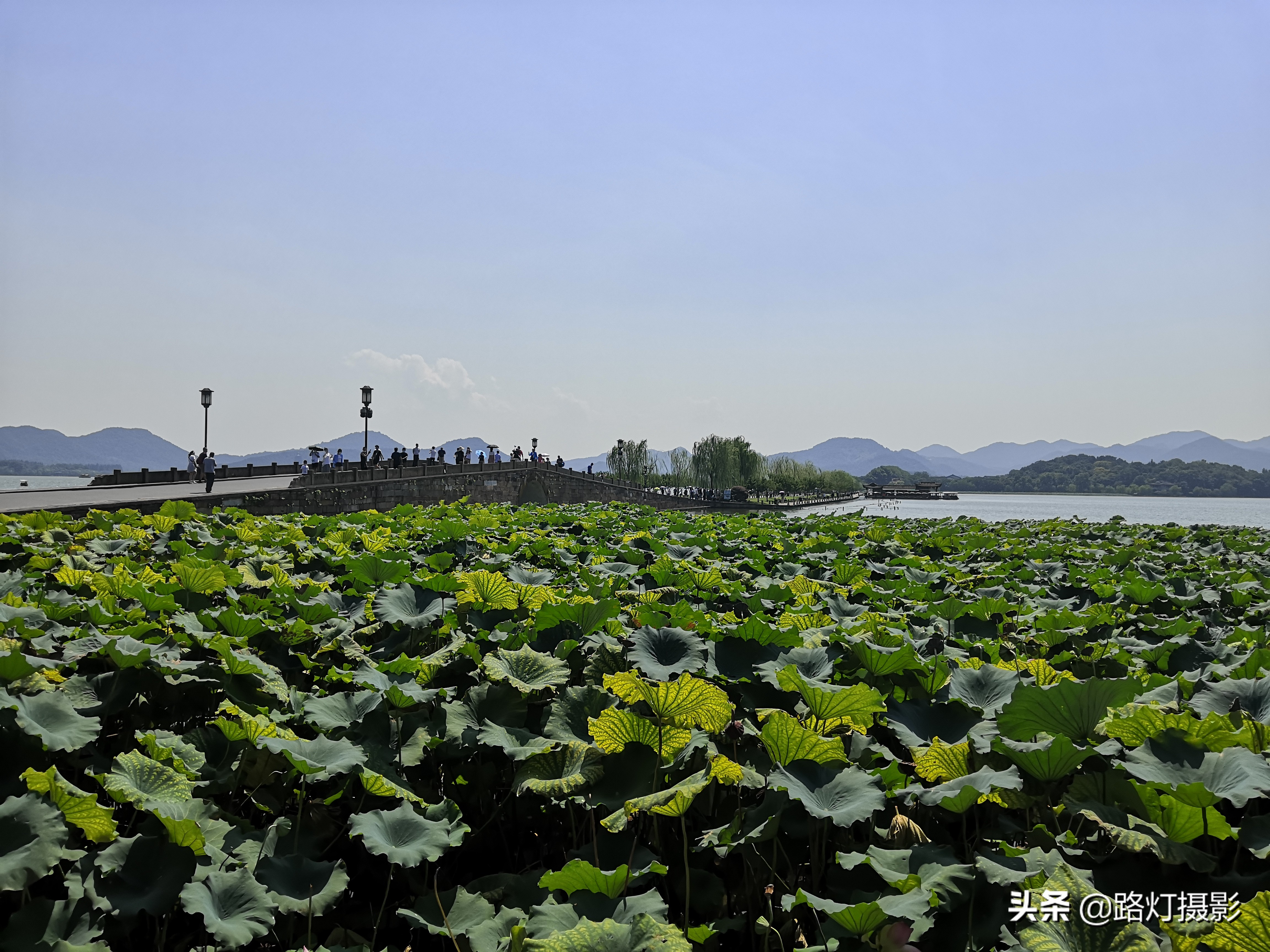 中國適宜養(yǎng)老的6個新一線城市，繁華與靜謐并存，你最想住在哪？