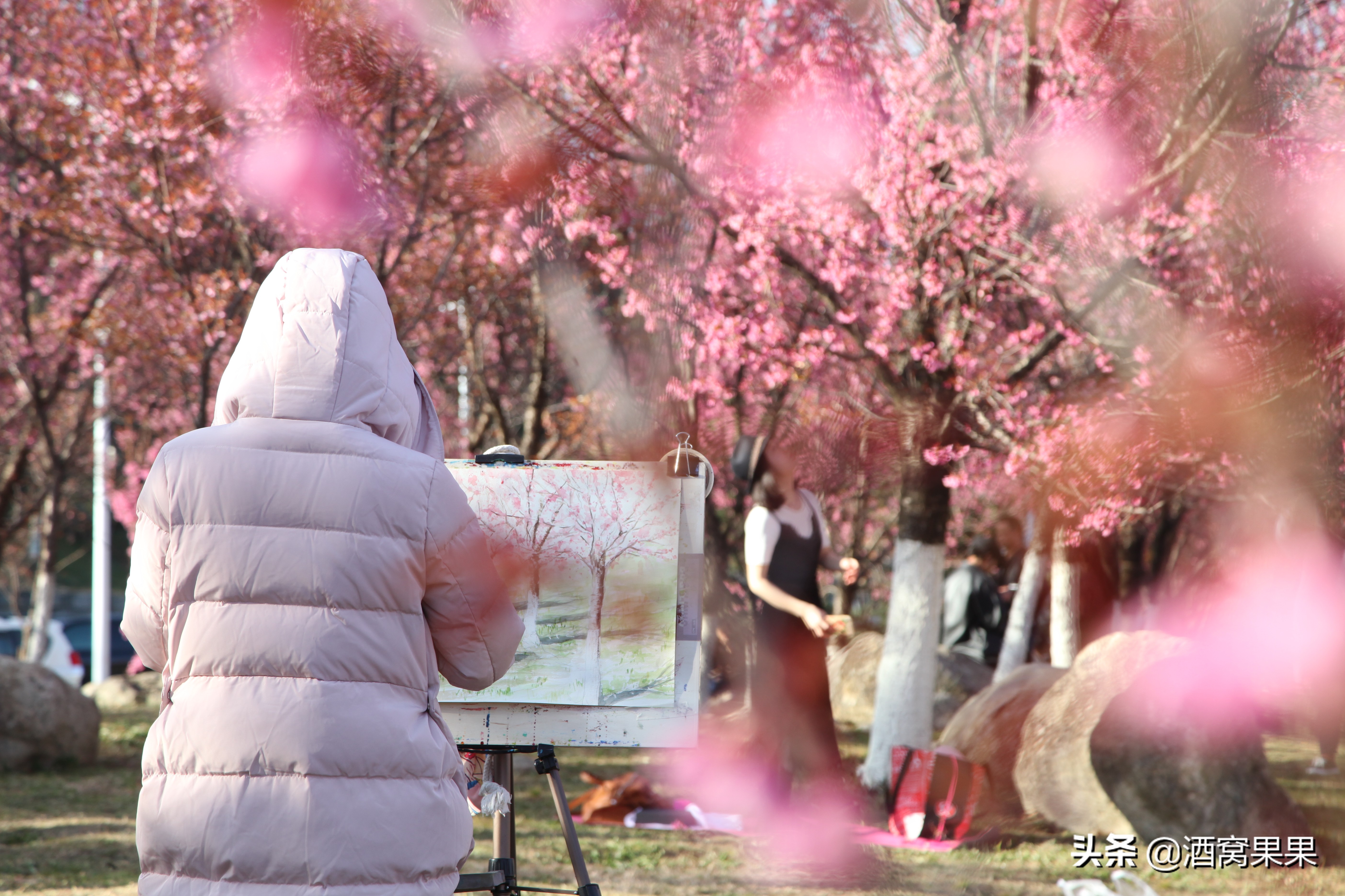北方人喜歡去云南養(yǎng)老，這4個(gè)地方很受歡迎，你會(huì)選擇哪里？
