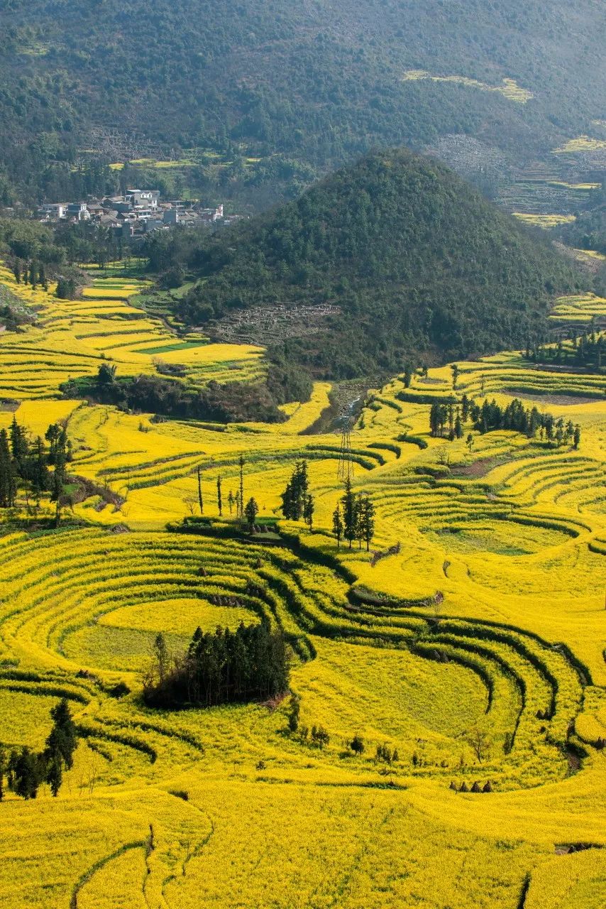 今年春色確定已提前，這些春天花海景色值得你重點關(guān)注了