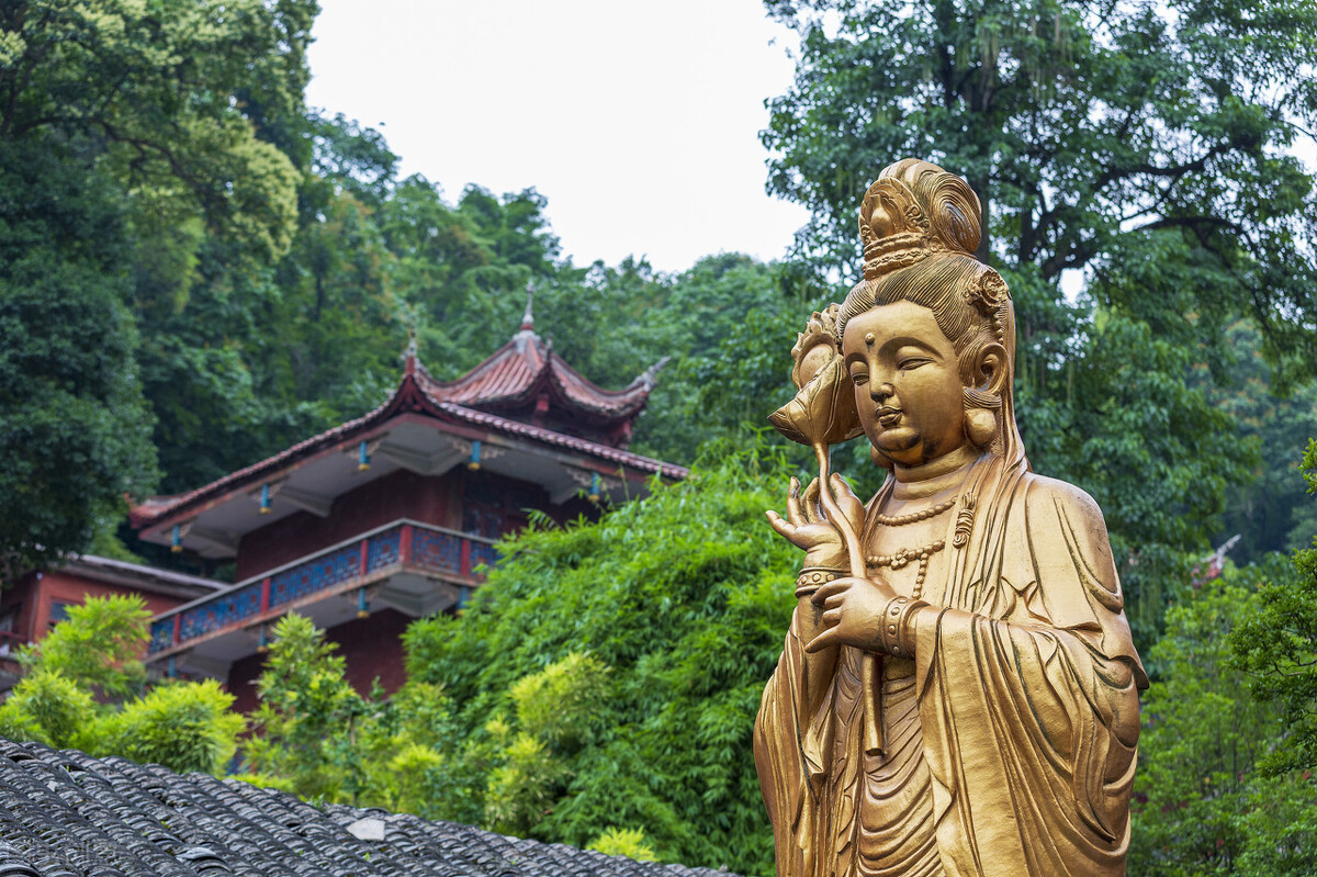 今年春色確定已提前，這些春天花海景色值得你重點關(guān)注了