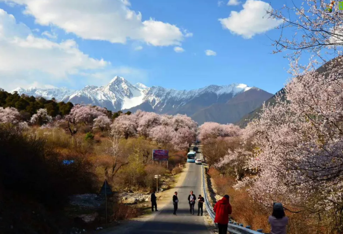 今年春色確定已提前，這些春天花海景色值得你重點關(guān)注了