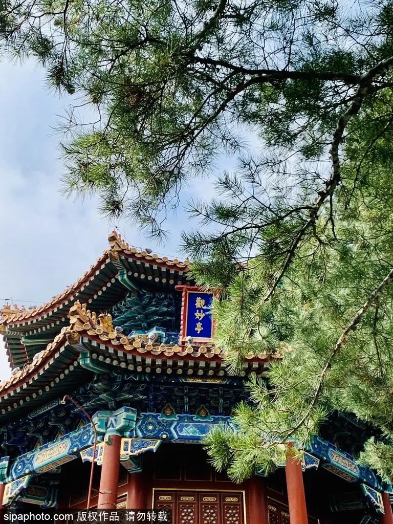 聽(tīng)說(shuō)北京這10家公園春節(jié)免費(fèi)開(kāi)放？這些玩的看的您可別錯(cuò)過(guò)！