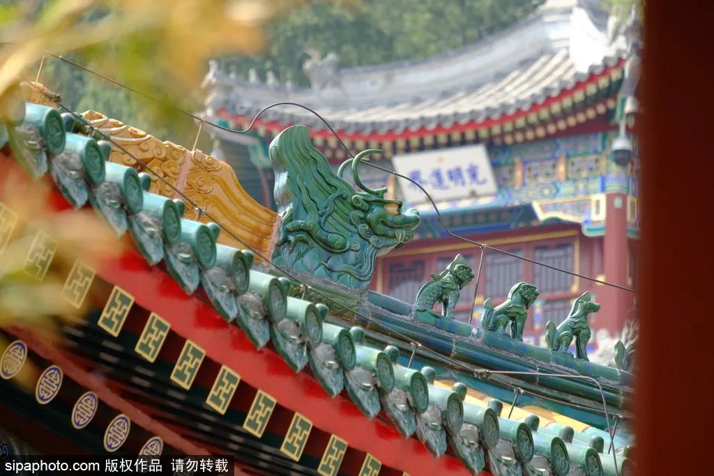 聽(tīng)說(shuō)北京這10家公園春節(jié)免費(fèi)開(kāi)放？這些玩的看的您可別錯(cuò)過(guò)！