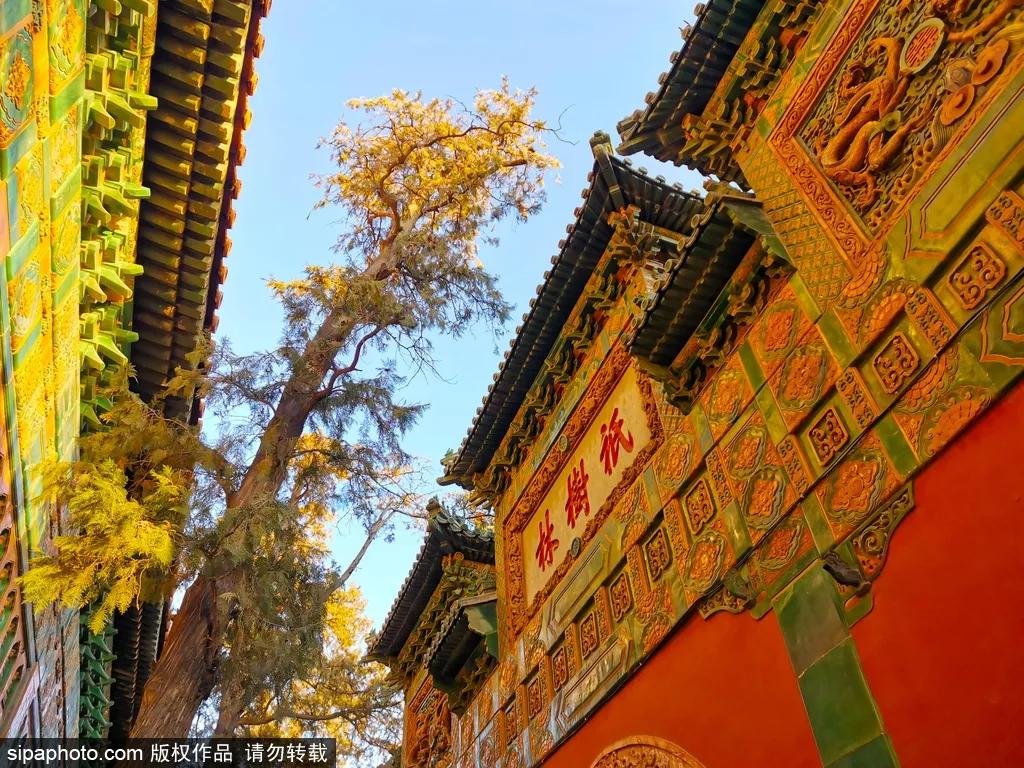 聽(tīng)說(shuō)北京這10家公園春節(jié)免費(fèi)開(kāi)放？這些玩的看的您可別錯(cuò)過(guò)！