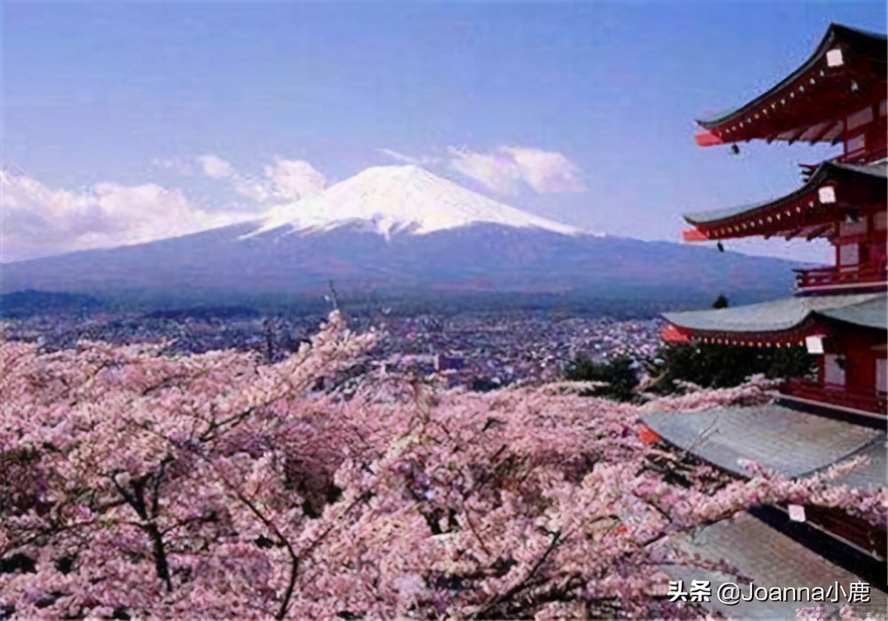 日本八大早櫻景區(qū)，哪些地方最適合欣賞櫻花？