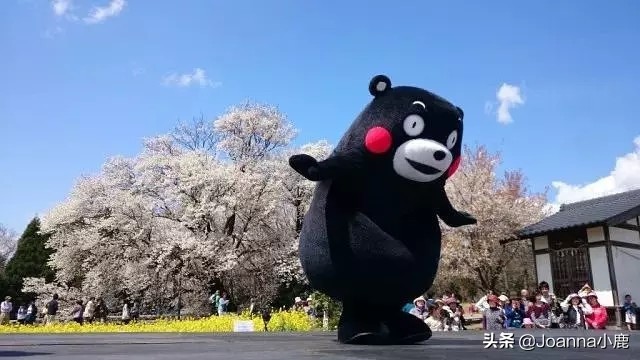 日本八大早櫻景區(qū)，哪些地方最適合欣賞櫻花？