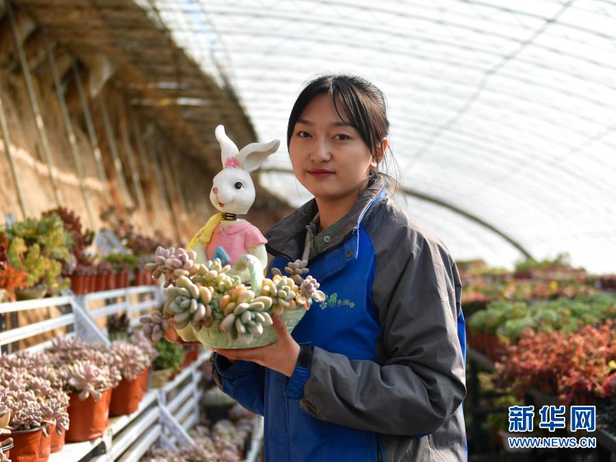 　　在青海省海東市平安區(qū)平安鎮(zhèn)白家村富硒果蔬種植基地的大棚里，韓穎在展示一盆多肉植物（2月8日攝）。新華社記者 張龍 攝