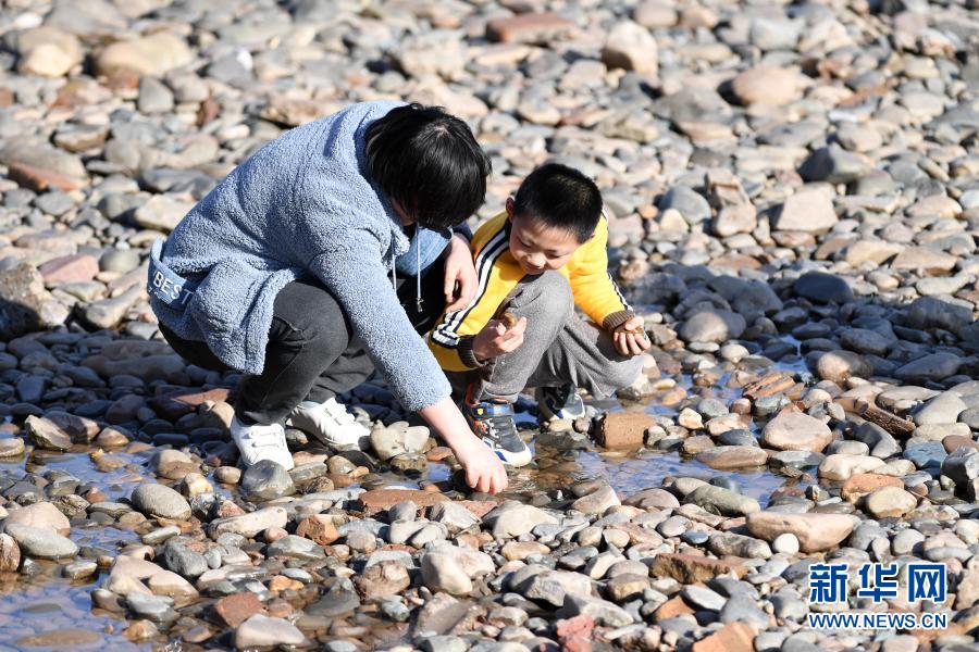 　　2月18日，市民帶著孩子在黃河蘭州段河床上撿石頭?！　〗?，受黃河上游來水量較少等因素影響，黃河蘭州段水位持續(xù)下降，部分河床裸露，又恰逢氣溫回暖，眾多市民帶著孩子來到黃河邊休閑游玩?！　⌒氯A社記者 范培珅 攝