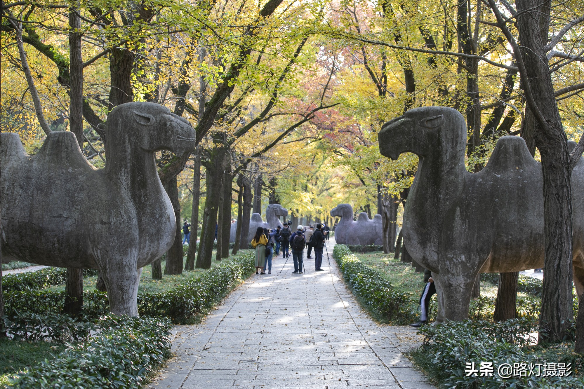 中國(guó)最美“十朝古都”，比洛陽(yáng)古樸，比蘇州迷人，知道是哪里嗎？