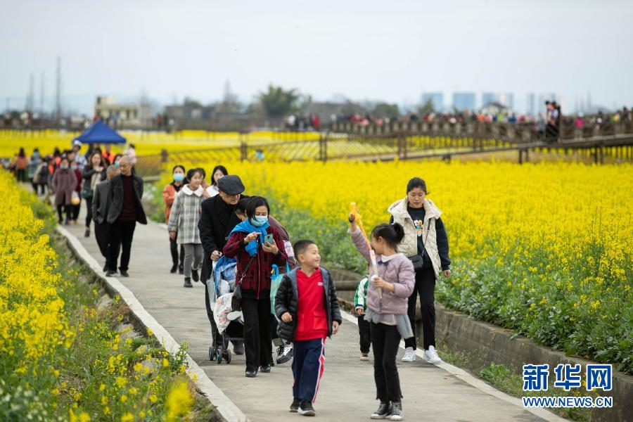 　　2月28日，游客在四川省廣漢市高坪鎮(zhèn)李堰村的花叢中漫步?！　〕醮旱拇ㄎ髌皆瘘S的油菜花、雪白的李花、粉紅的桃花等競相綻放，構(gòu)成一幅美麗的鄉(xiāng)村畫卷，吸引不少游客前來踏青、賞花?！　⌒氯A社記者 江宏景 攝