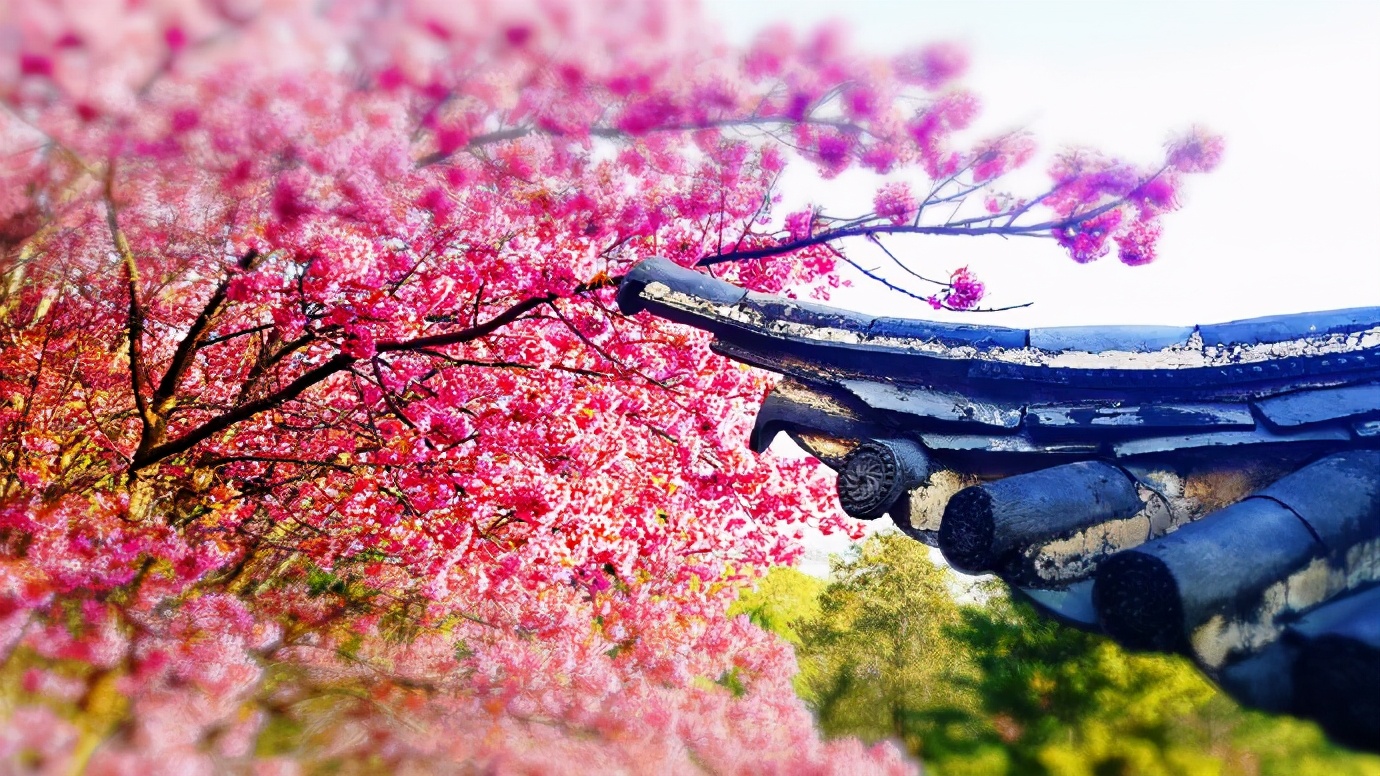 國(guó)內(nèi)三月必去踏青打卡地，趕緊去打卡