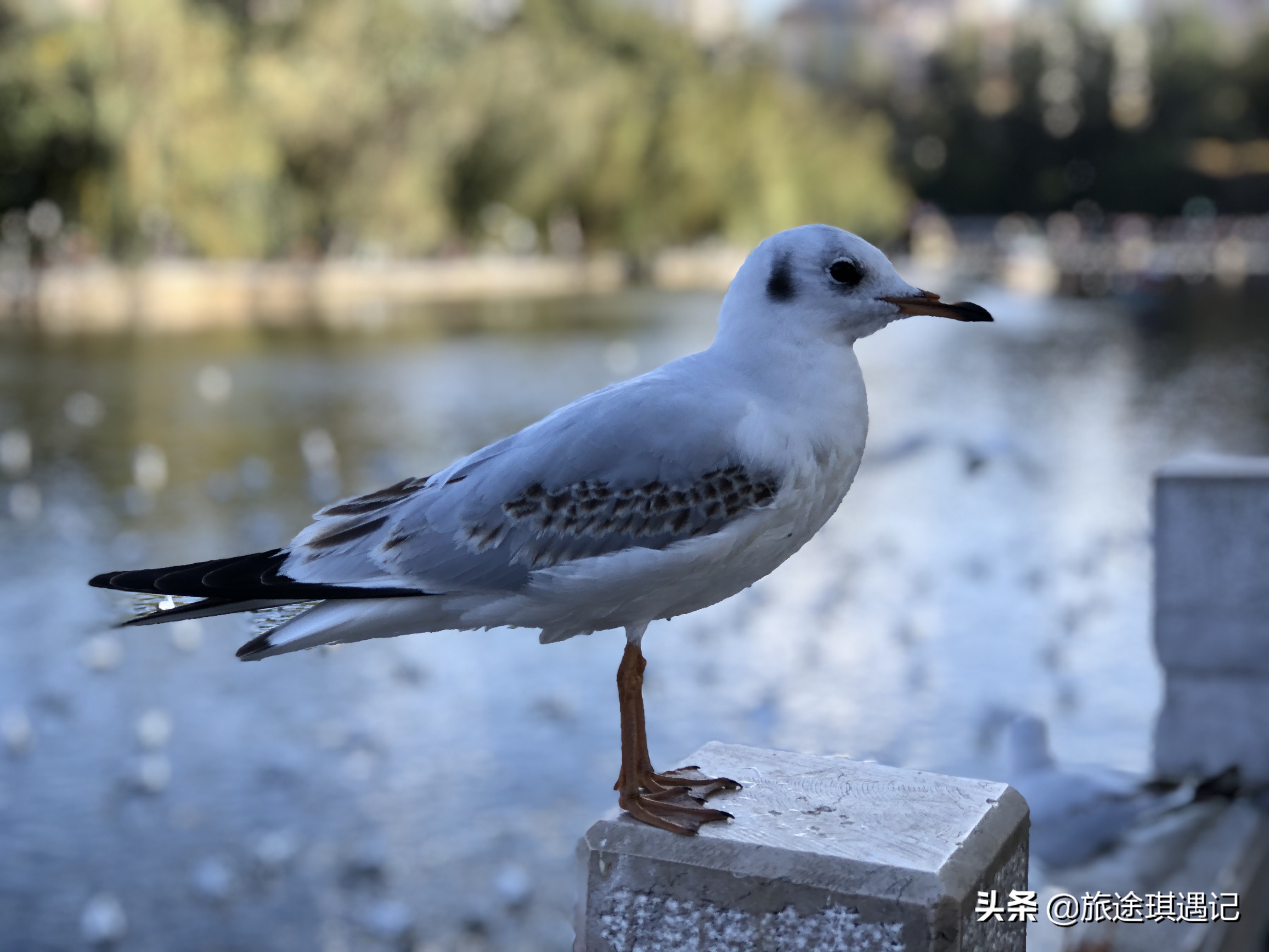 旅居養(yǎng)老別錯(cuò)過云南這三座小城，氣候宜人環(huán)境舒適，生活成本不高