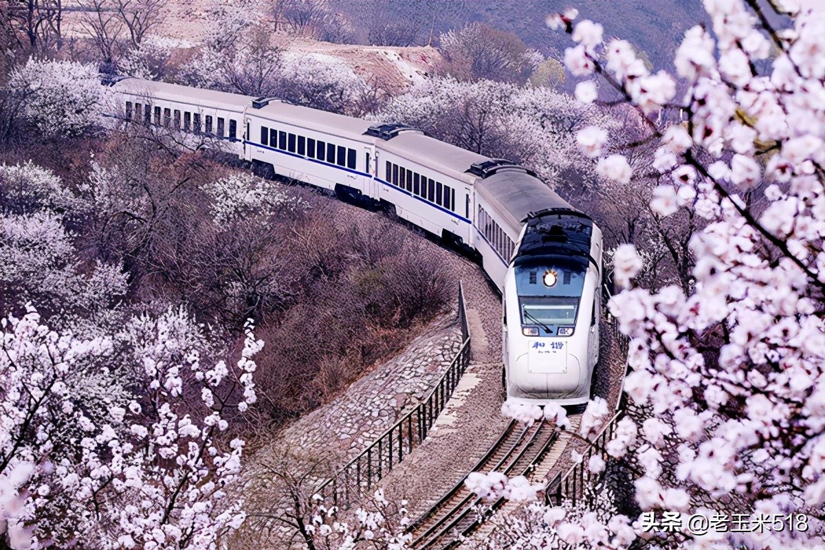 4月份被鮮花包圍的7個(gè)地方，給自己放個(gè)假，愿卿不負(fù)大好春光