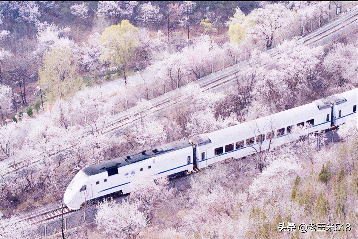 4月份被鮮花包圍的7個(gè)地方，給自己放個(gè)假，愿卿不負(fù)大好春光