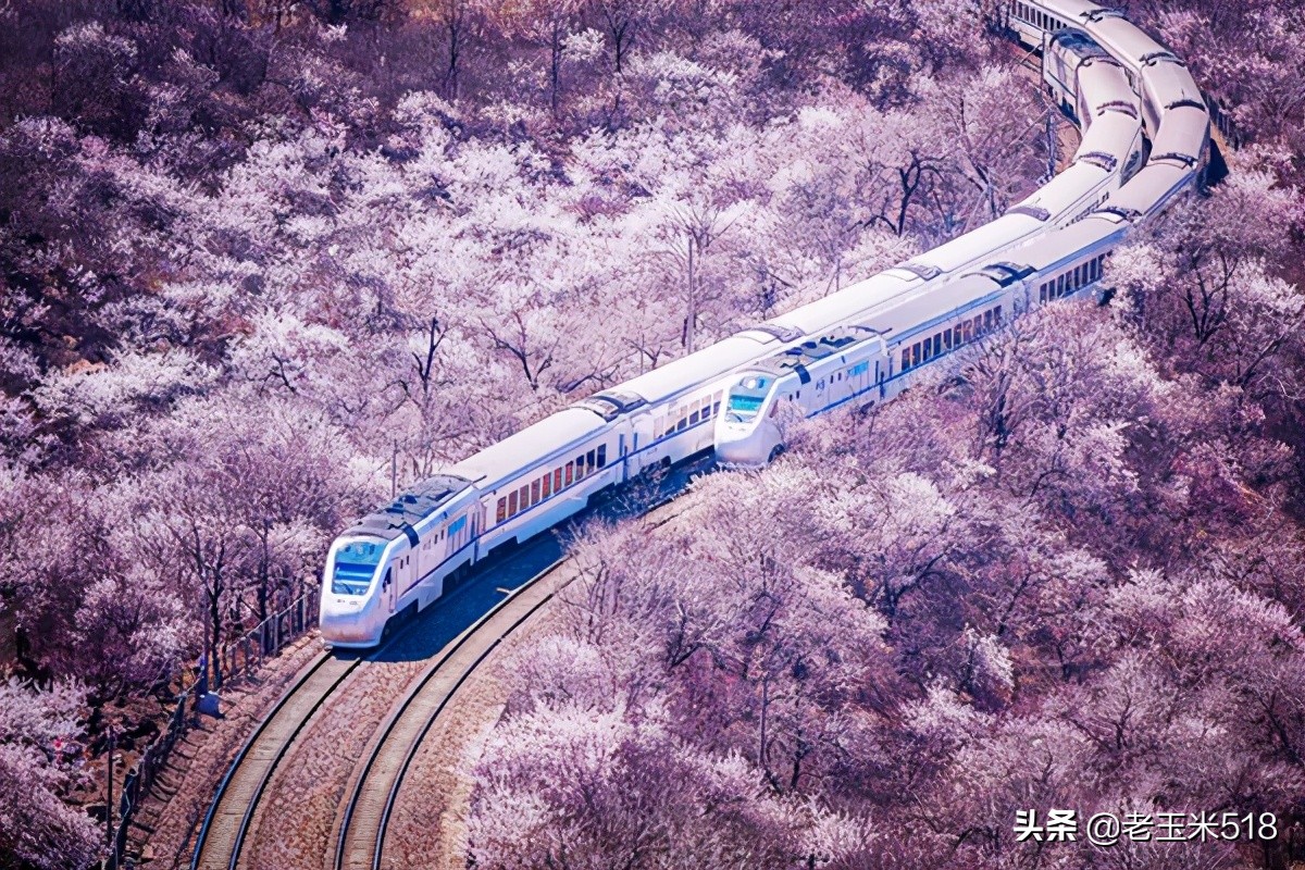 4月份被鮮花包圍的7個(gè)地方，給自己放個(gè)假，愿卿不負(fù)大好春光