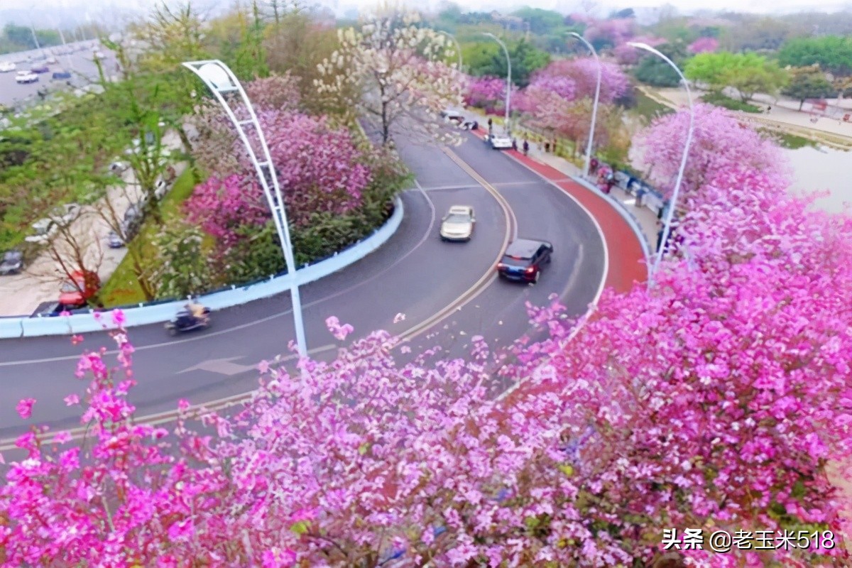 4月份被鮮花包圍的7個(gè)地方，給自己放個(gè)假，愿卿不負(fù)大好春光