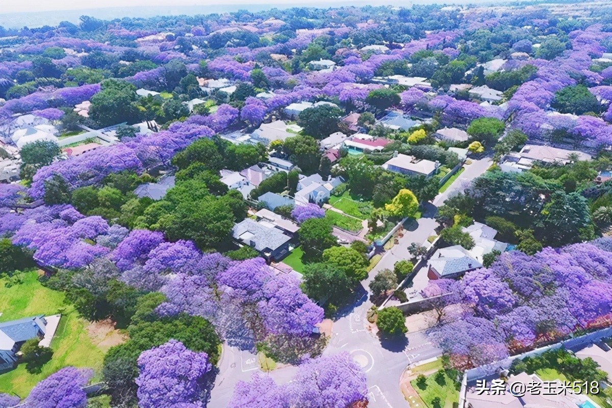 4月份被鮮花包圍的7個(gè)地方，給自己放個(gè)假，愿卿不負(fù)大好春光