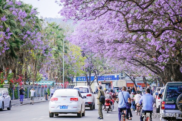 4月份被鮮花包圍的7個(gè)地方，給自己放個(gè)假，愿卿不負(fù)大好春光