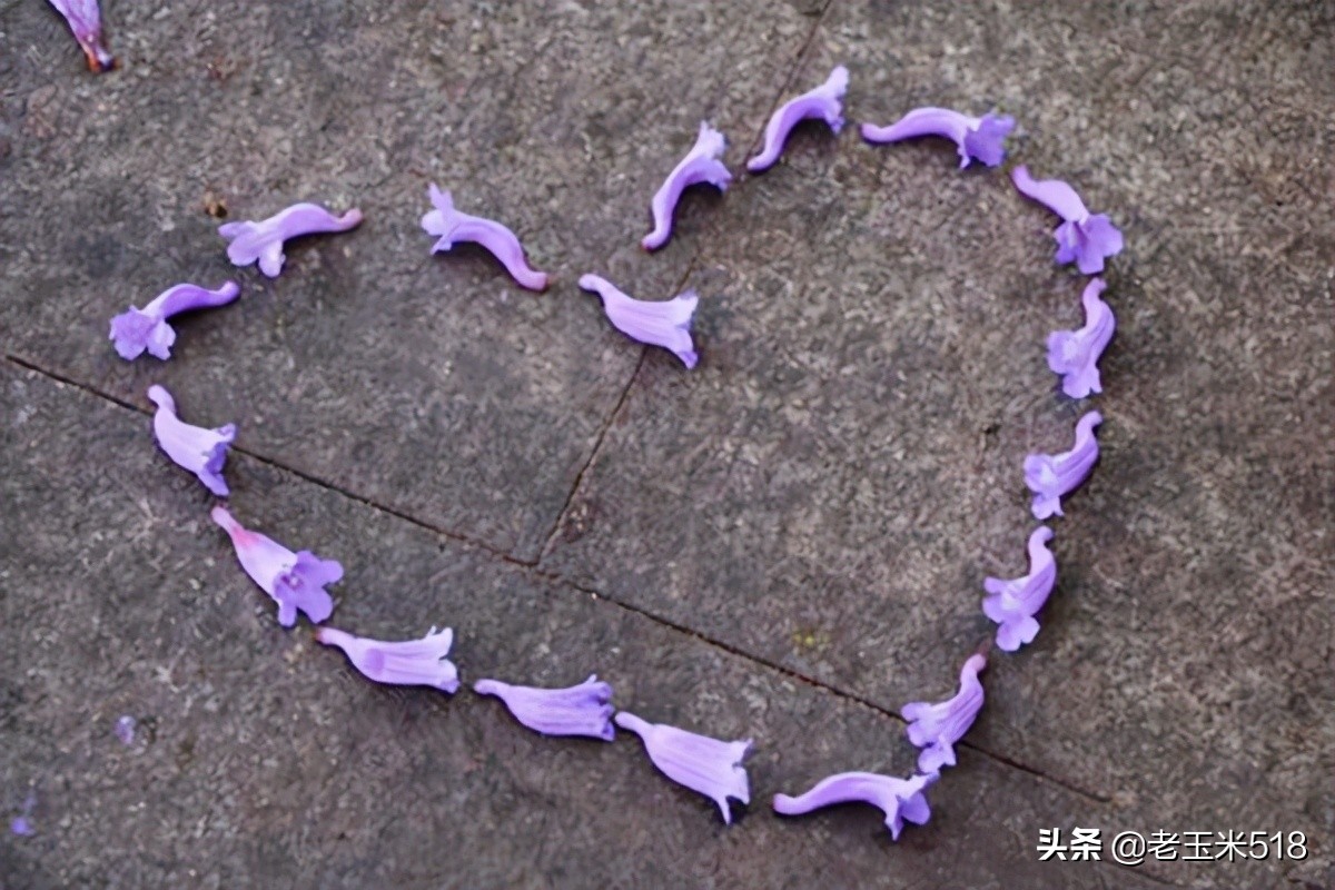 4月份被鮮花包圍的7個(gè)地方，給自己放個(gè)假，愿卿不負(fù)大好春光