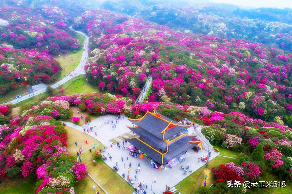 4月份被鮮花包圍的7個(gè)地方，給自己放個(gè)假，愿卿不負(fù)大好春光