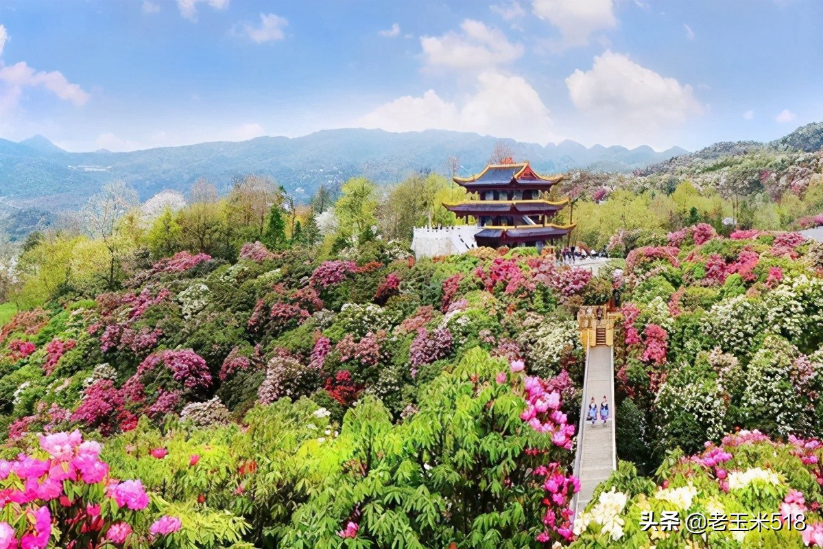 4月份被鮮花包圍的7個(gè)地方，給自己放個(gè)假，愿卿不負(fù)大好春光