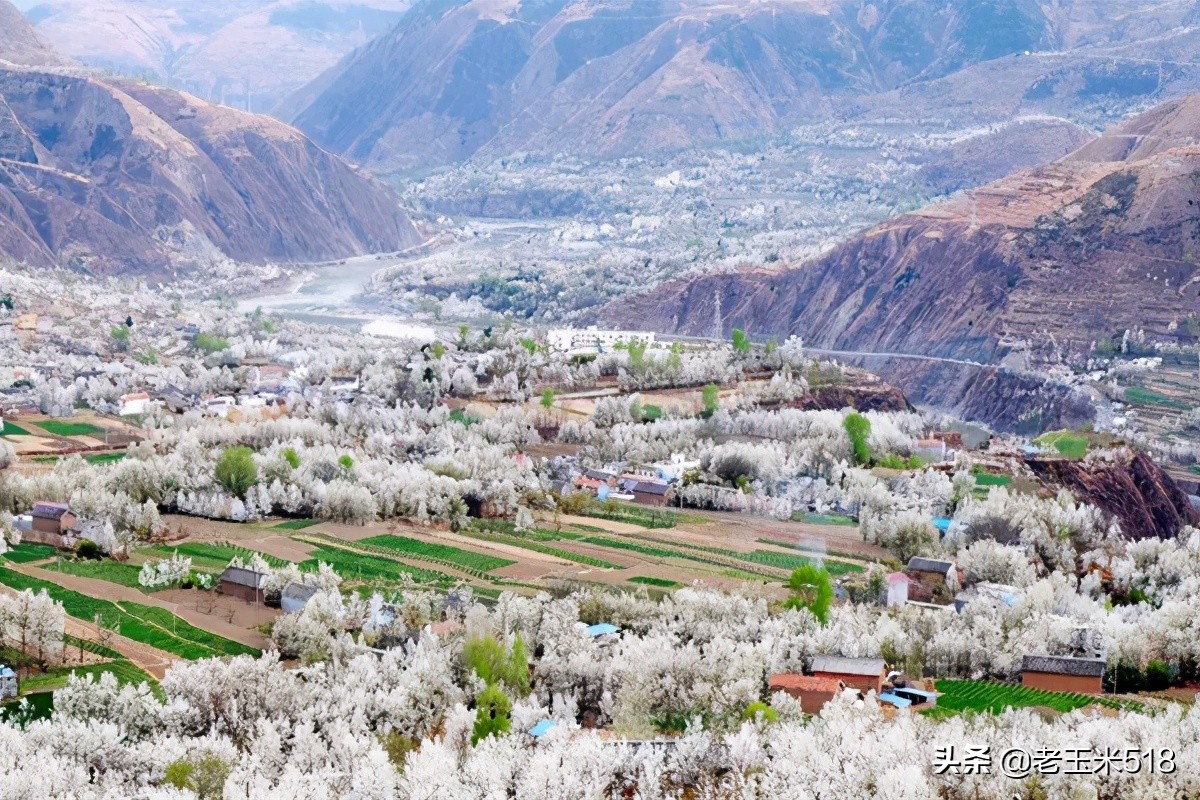 4月份被鮮花包圍的7個(gè)地方，給自己放個(gè)假，愿卿不負(fù)大好春光