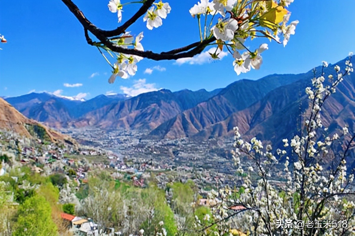 4月份被鮮花包圍的7個(gè)地方，給自己放個(gè)假，愿卿不負(fù)大好春光