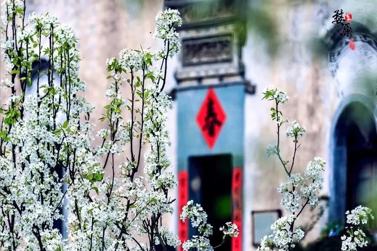 4月最適合出游的地方，累了就去小住幾天