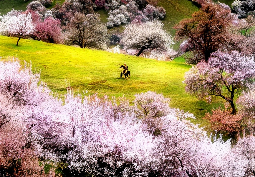 4月最適合出游的地方，累了就去小住幾天