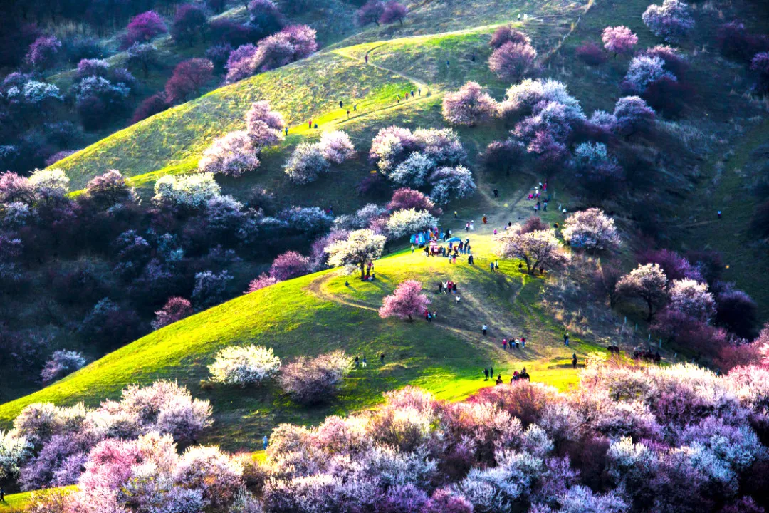 4月最適合出游的地方，累了就去小住幾天