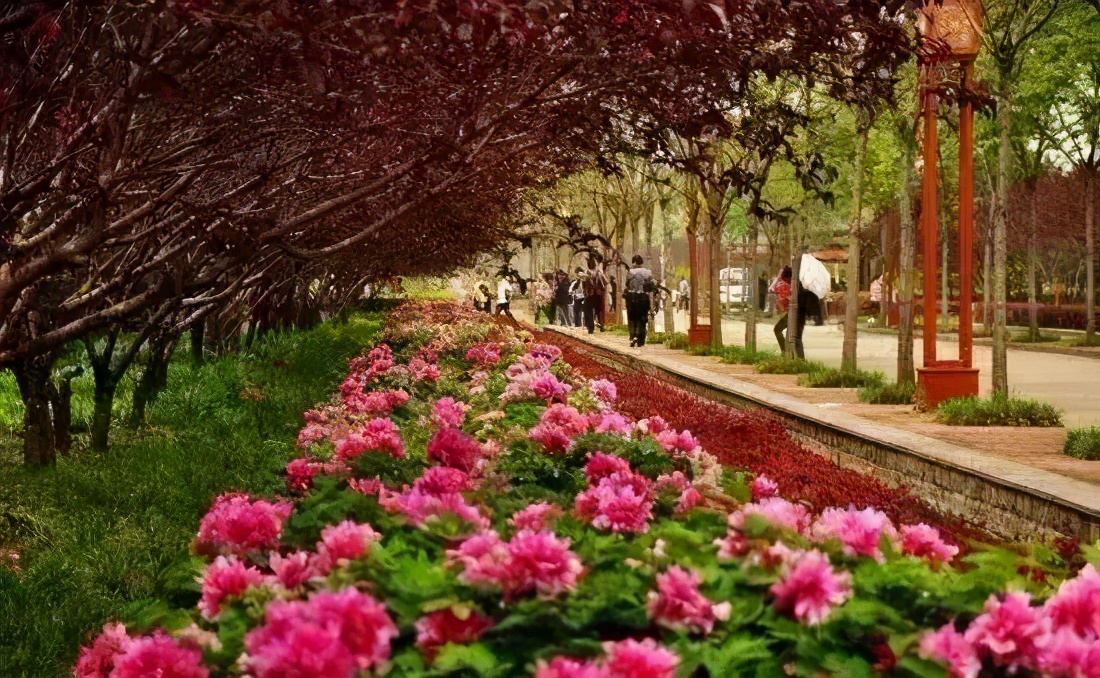 4月最適合出游的地方，累了就去小住幾天