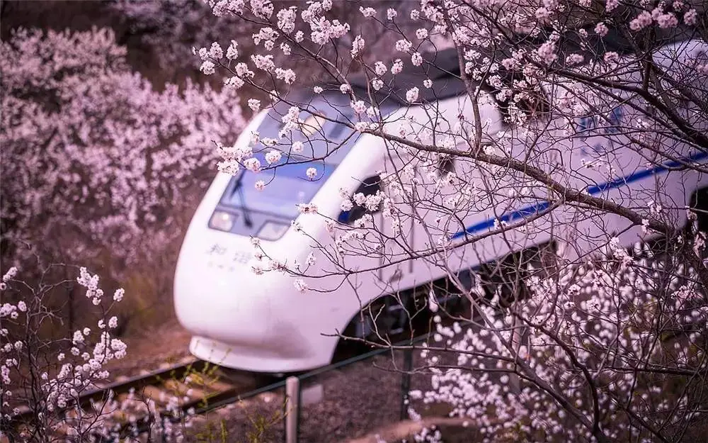 4月最適合出游的地方，累了就去小住幾天