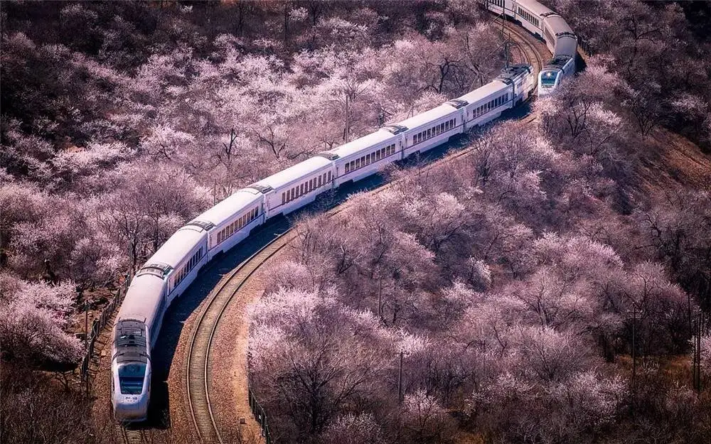 4月最適合出游的地方，累了就去小住幾天