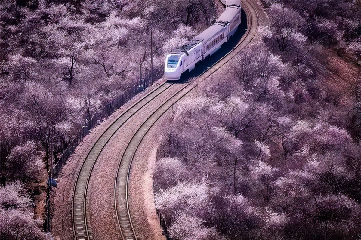 4月最適合出游的地方，累了就去小住幾天