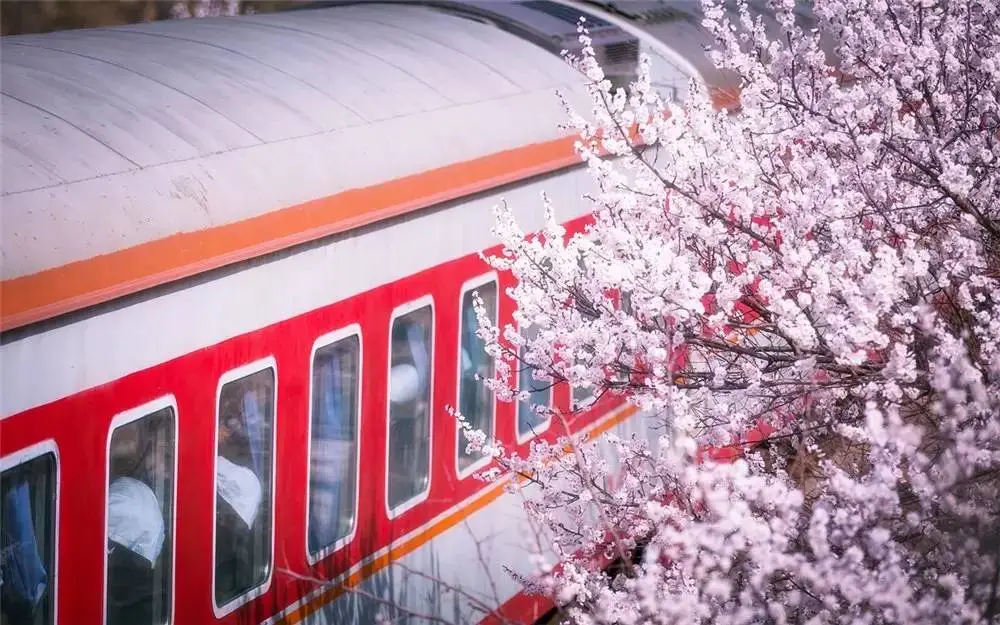 4月最適合出游的地方，累了就去小住幾天