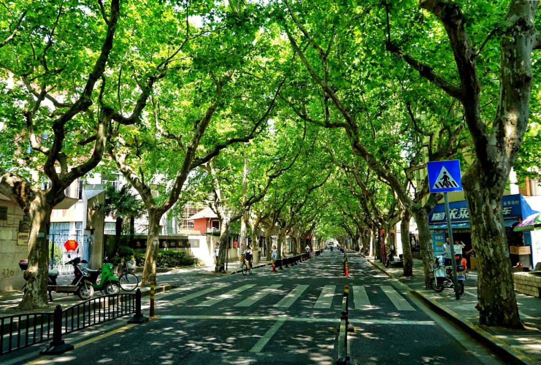 4月最適合出游的地方，累了就去小住幾天