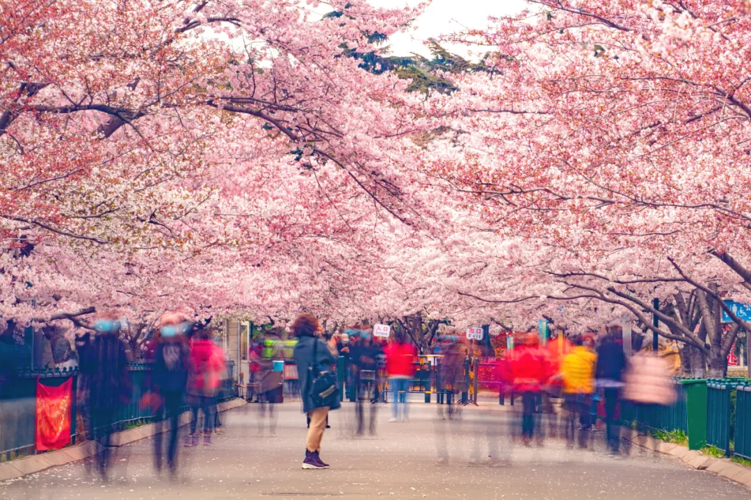 4月最適合出游的地方，累了就去小住幾天