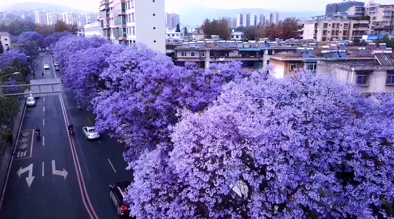 4月最適合出游的地方，累了就去小住幾天