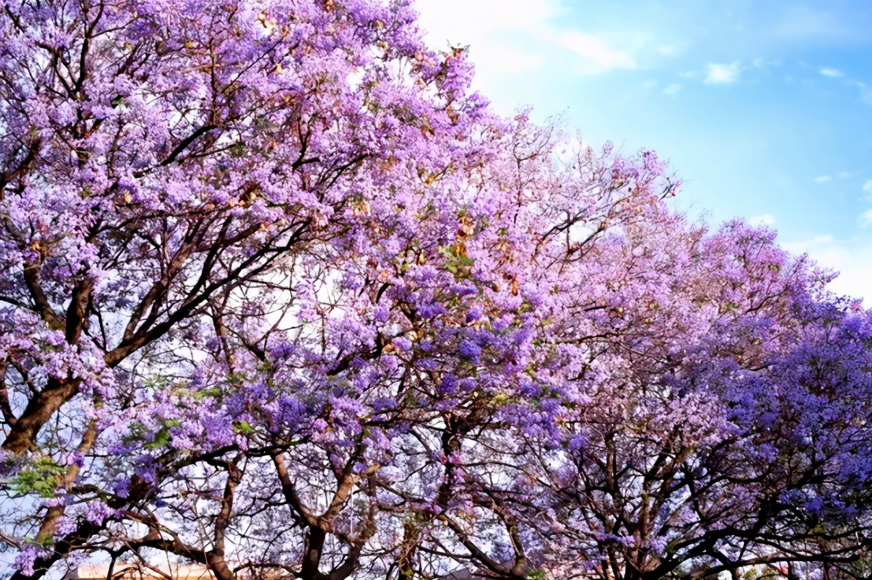 4月最適合出游的地方，累了就去小住幾天