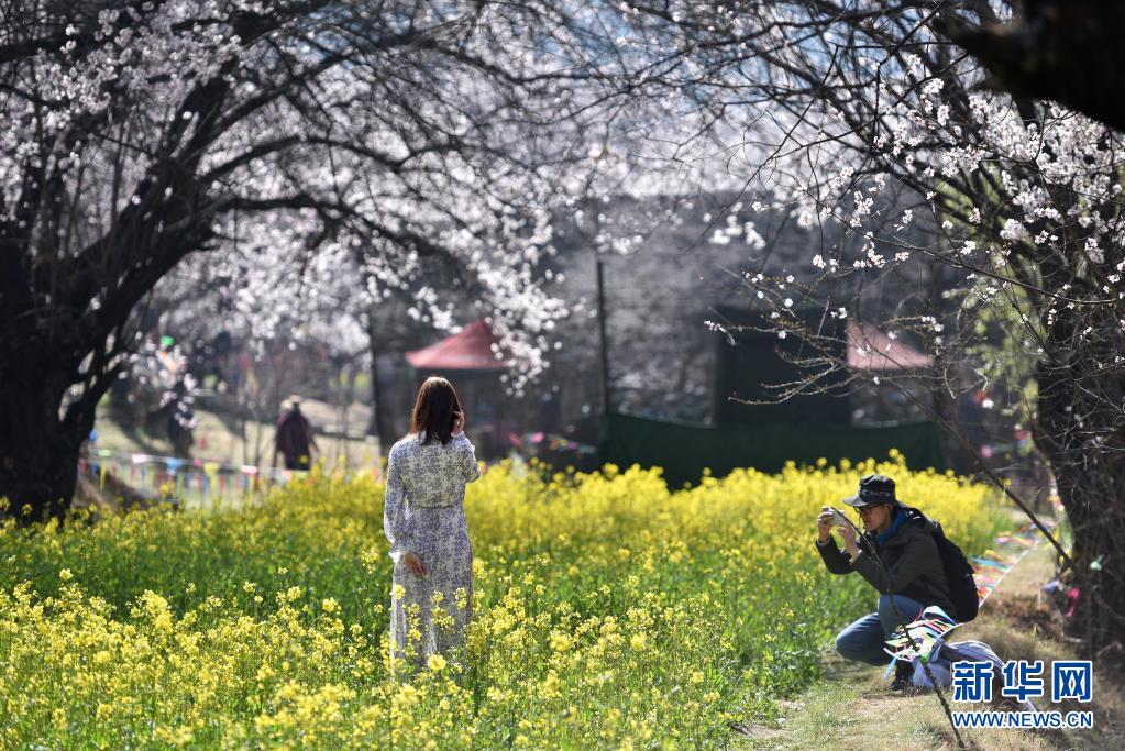 3月27日，游客在林芝市嘎拉村欣賞桃花時留影。當(dāng)日，西藏林芝第十九屆桃花旅游文化節(jié)開幕。林芝意為“太陽的寶座”，平均海拔3100米，每逢春日，盛開的桃花與藍(lán)天白云、雪山冰川交相輝映，景觀獨特迷人。新華社記者 孫瑞博 攝