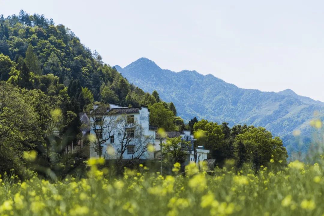 四月旅行地推薦！10個(gè)詩情畫意目的地，這才是春天該去的地方
