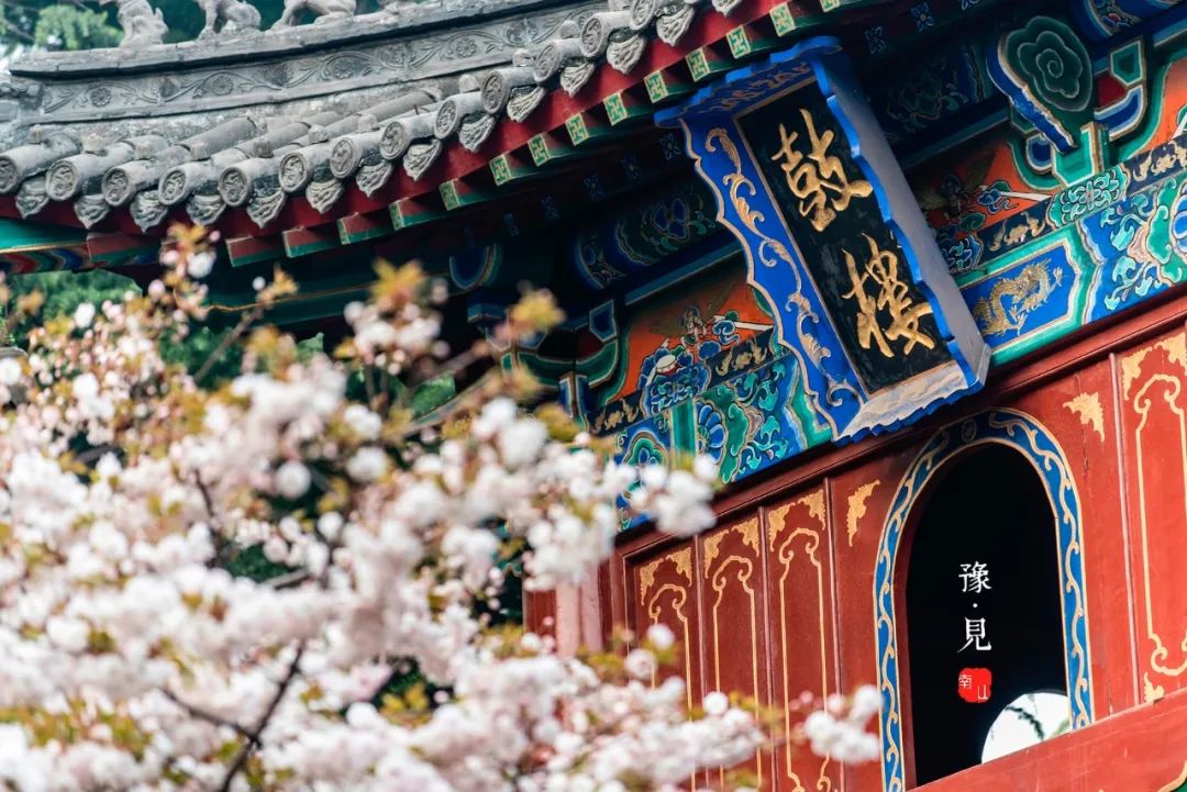 四月旅行地推薦！10個(gè)詩情畫意目的地，這才是春天該去的地方