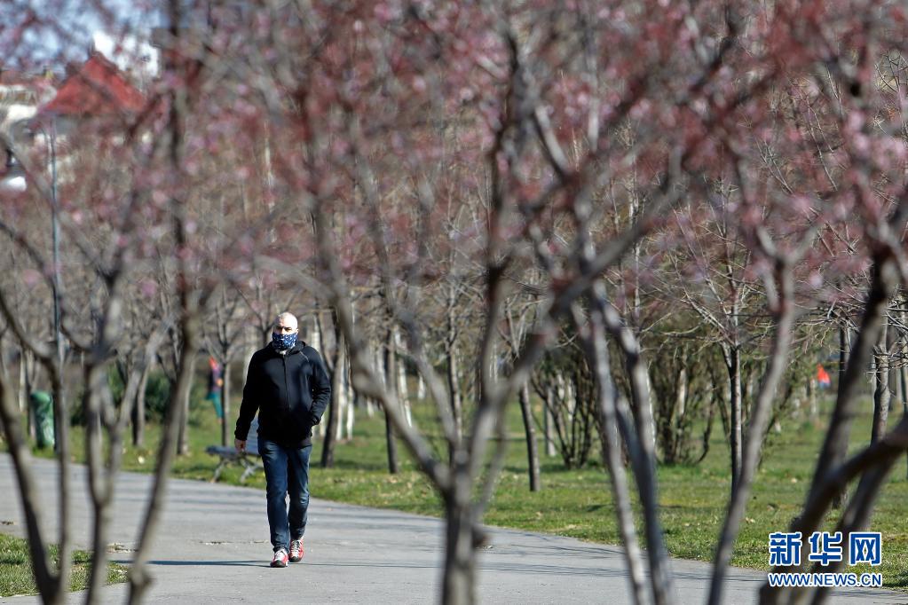 　　3月30日，一名男子戴著口罩在羅馬尼亞首都布加勒斯特一處公園步行?！　×_馬尼亞正面臨新一波新冠疫情，而首都布加勒斯特是全國感染率較高的地區(qū)之一。目前，羅馬尼亞全國范圍處于宵禁狀態(tài)，每天22時(shí)至次日5時(shí)居民的出行受限，所有人出門必須戴口罩?！　⌒氯A社發(fā)（克里斯泰爾攝）