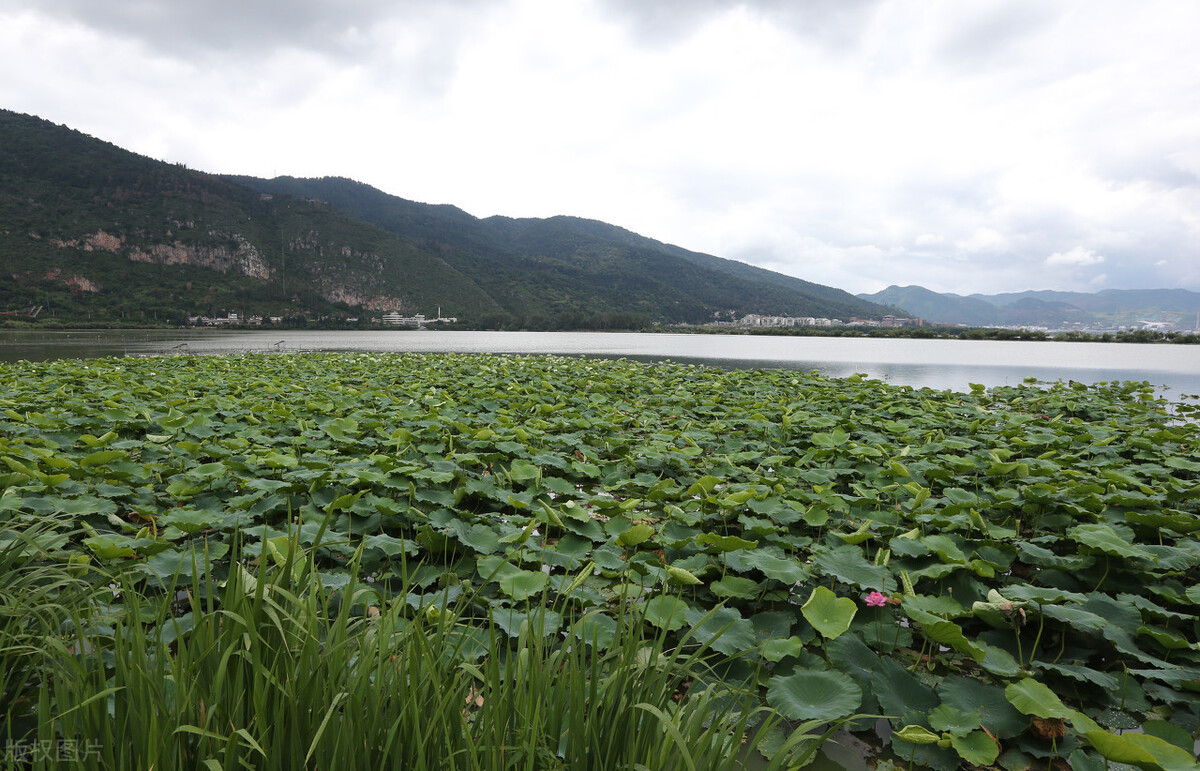 到云南旅行，不能錯(cuò)過的六大景點(diǎn)，你去過幾個(gè)？