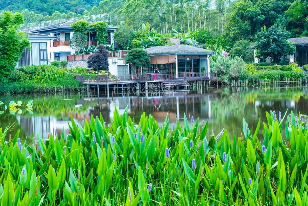 五一去哪，廣東最值得去的10個(gè)旅游目的地推薦，有你想去的嗎？