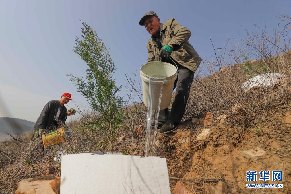 　　3月31日，造林隊(duì)員在河北省遵化市石門鎮(zhèn)金星山給新栽的樹苗澆水?！　≈俅簳r(shí)節(jié)，河北省遵化市提前開始今年的荒山造林，造林隊(duì)員們忙著運(yùn)送樹苗、栽樹、澆水。遵化市今年計(jì)劃完成荒山造林5萬多畝?！　⌒氯A社發(fā)（劉滿倉(cāng) 攝）