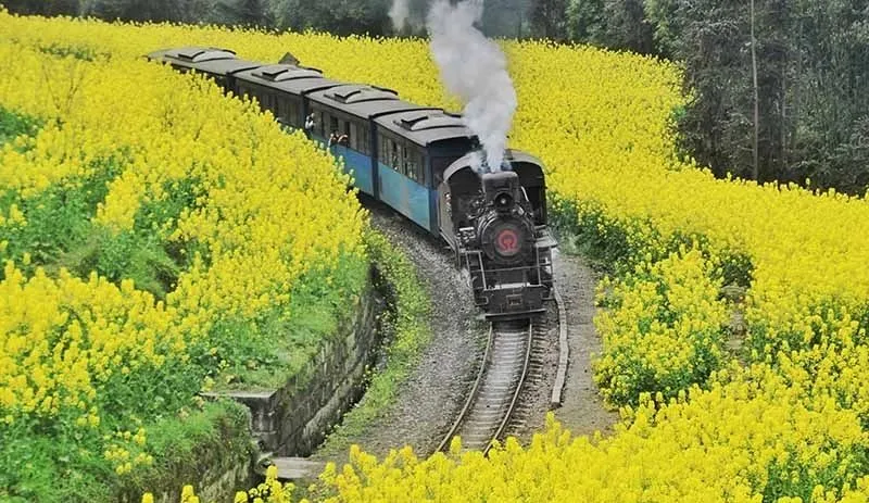 四月最佳旅行地榜單，這10個(gè)地方藏著中國(guó)最美的春天