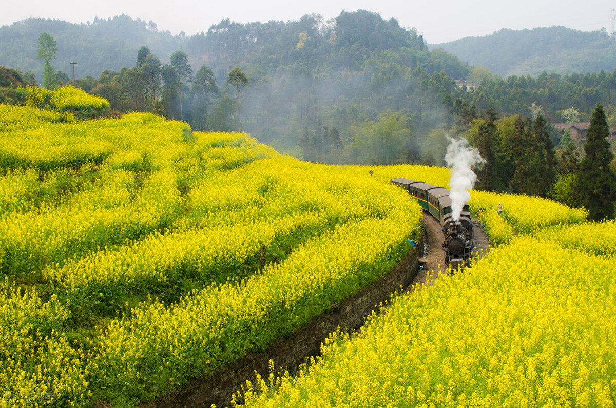 四月最佳旅行地榜單，這10個(gè)地方藏著中國(guó)最美的春天