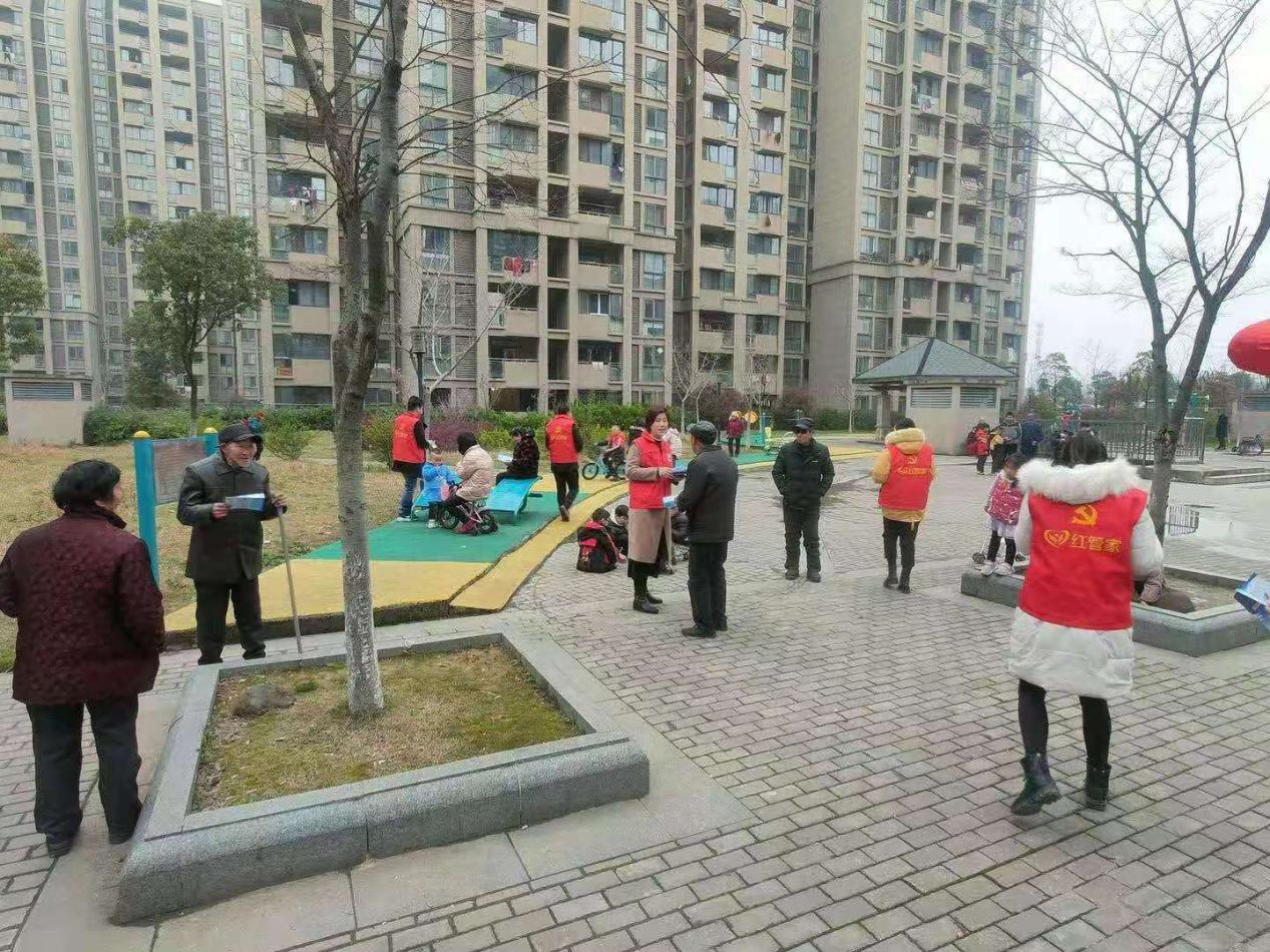 圖片8
